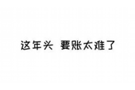 池州池州的要账公司在催收过程中的策略和技巧有哪些？